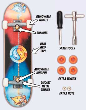 fingerboard rozbor.jpg